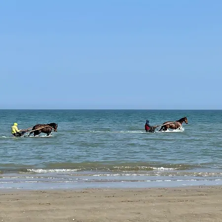 Pressoir De La Mare Superhote 12 Minutes De Cabourg Holiday home Goustranville