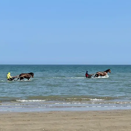 Pressoir De La Mare Superhote 12 Minutes De Cabourg Дом отдыха Goustranville
