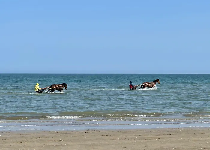 Pressoir De La Mare Superhote 12 Minutes De Cabourg Dom wakacyjny Goustranville
