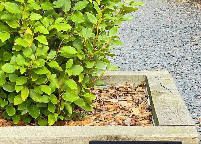 Pressoir De La Mare Superhote 12 Minutes De Cabourg بيت للعطل Goustranville